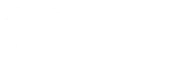 GIN Consultores Logo Blanco
